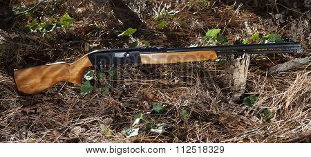 Semi Auto Gun