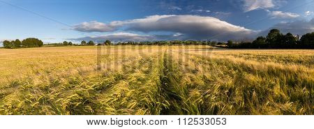 Kilcrea