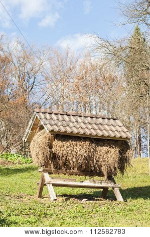 Manger With Hay