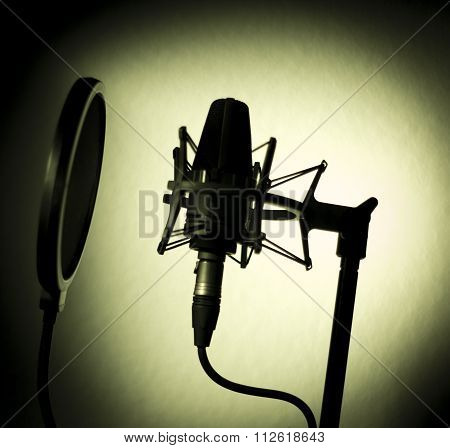Audio Recording Vocal Studio Voice Microphone