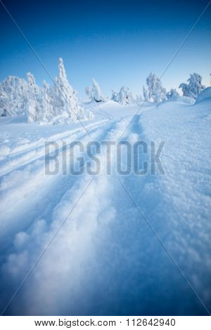 Cold winter in Lapland Finland