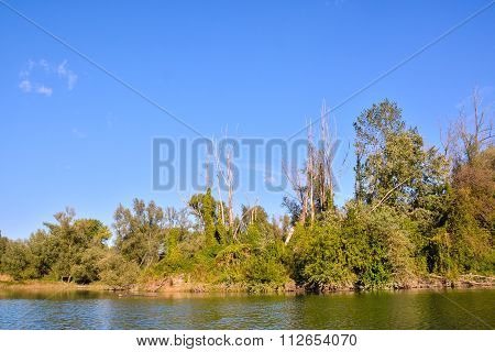 Wild Brenta River