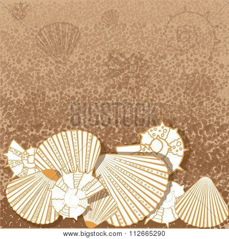 Marine Pattern With Shells