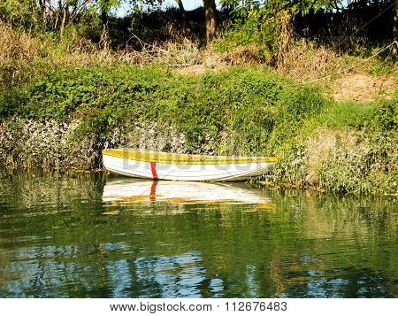 Wild Brenta River