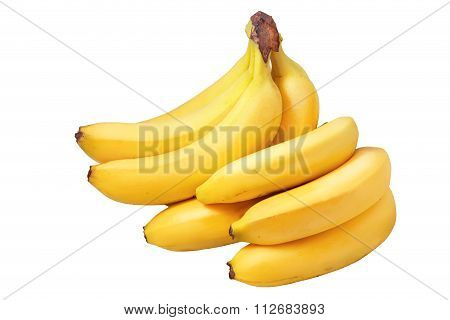Bunch of bananas isolated on white background