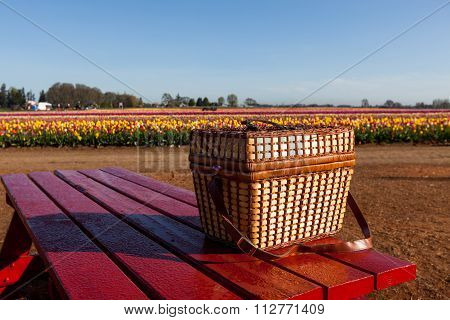 Farm Picnic