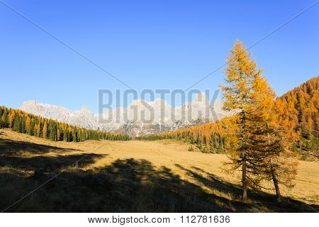 Autumn Panorama From Italian Alps