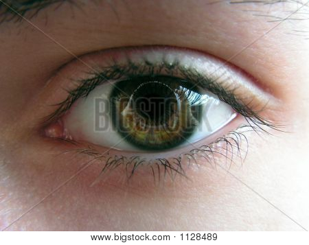 Göz