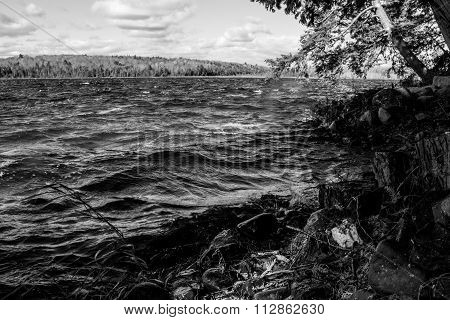 Rough Waters
