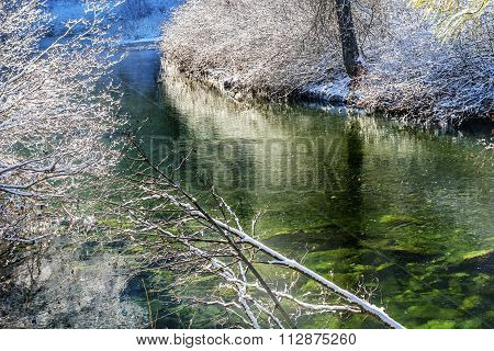 Winter Leaves Snow Ice  Wenatchee River Valley Leavenworth Washington