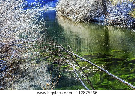 Winter Leaves Snow Ice  Wenatchee River Valley Leavenworth Washington