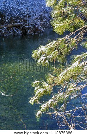 Winter Leaves Snow Ice  Wenatchee River Valley Leavenworth Washington