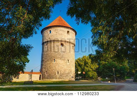 Medieval Tower Kiek-in-de-Kok In Park On Hill Toompea in Tallinn