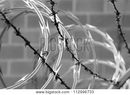 Razor Wire