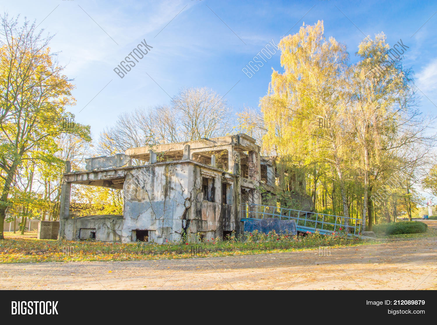 Image Preview
