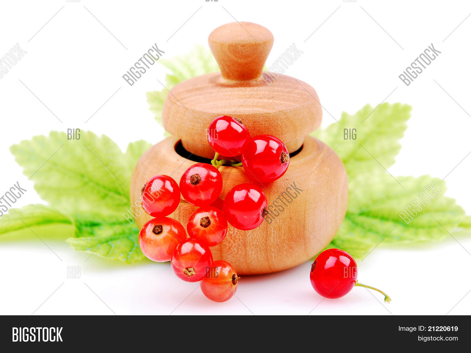 Image Preview