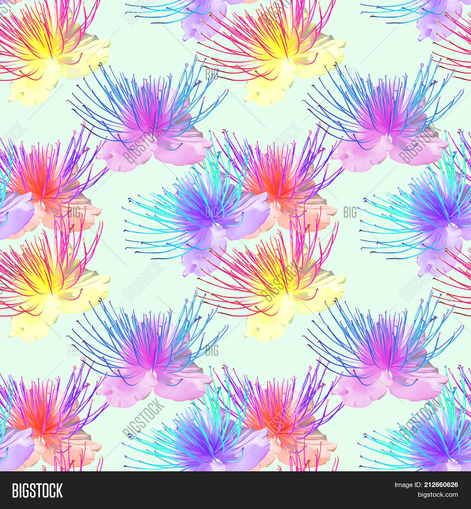 Capers. Texture Image & Photo (Free Trial) Bigstock