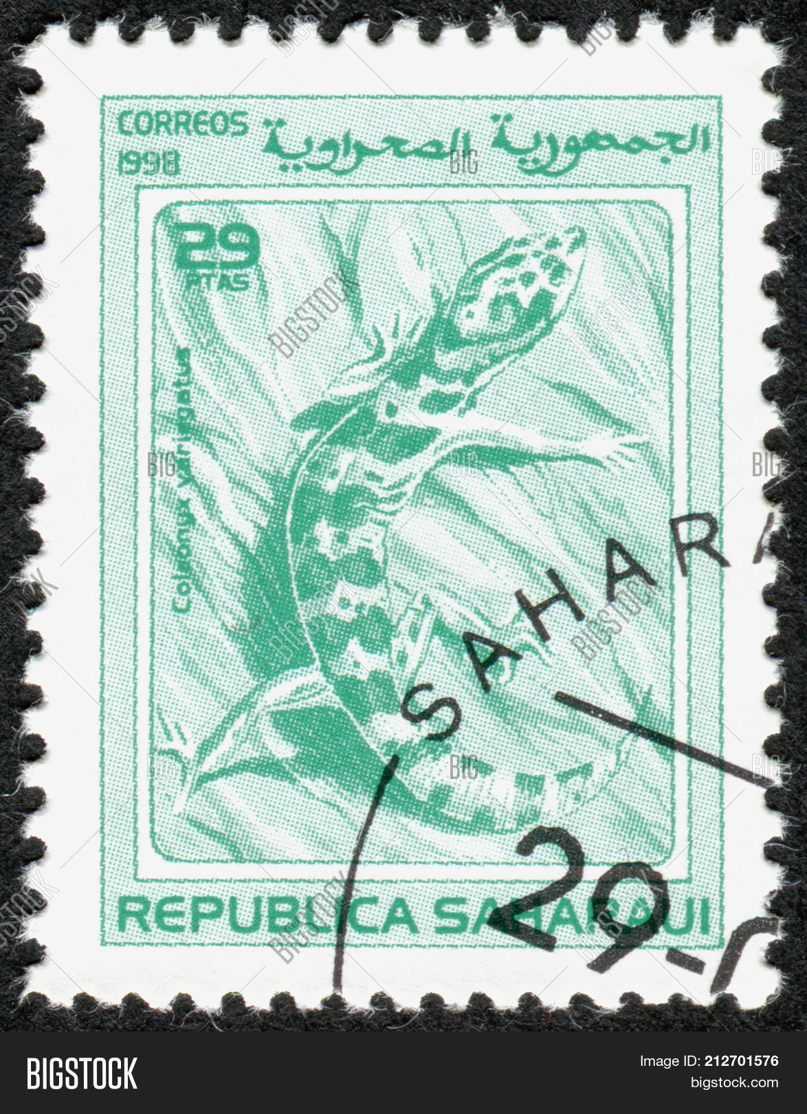 Image Preview