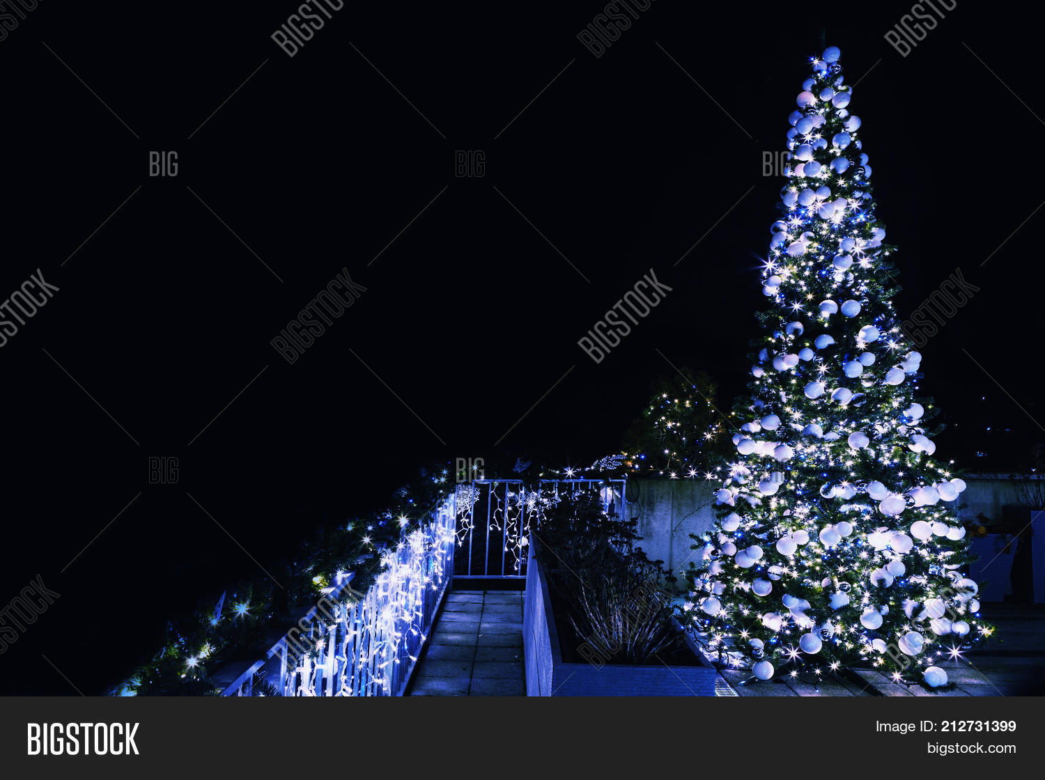Image Preview