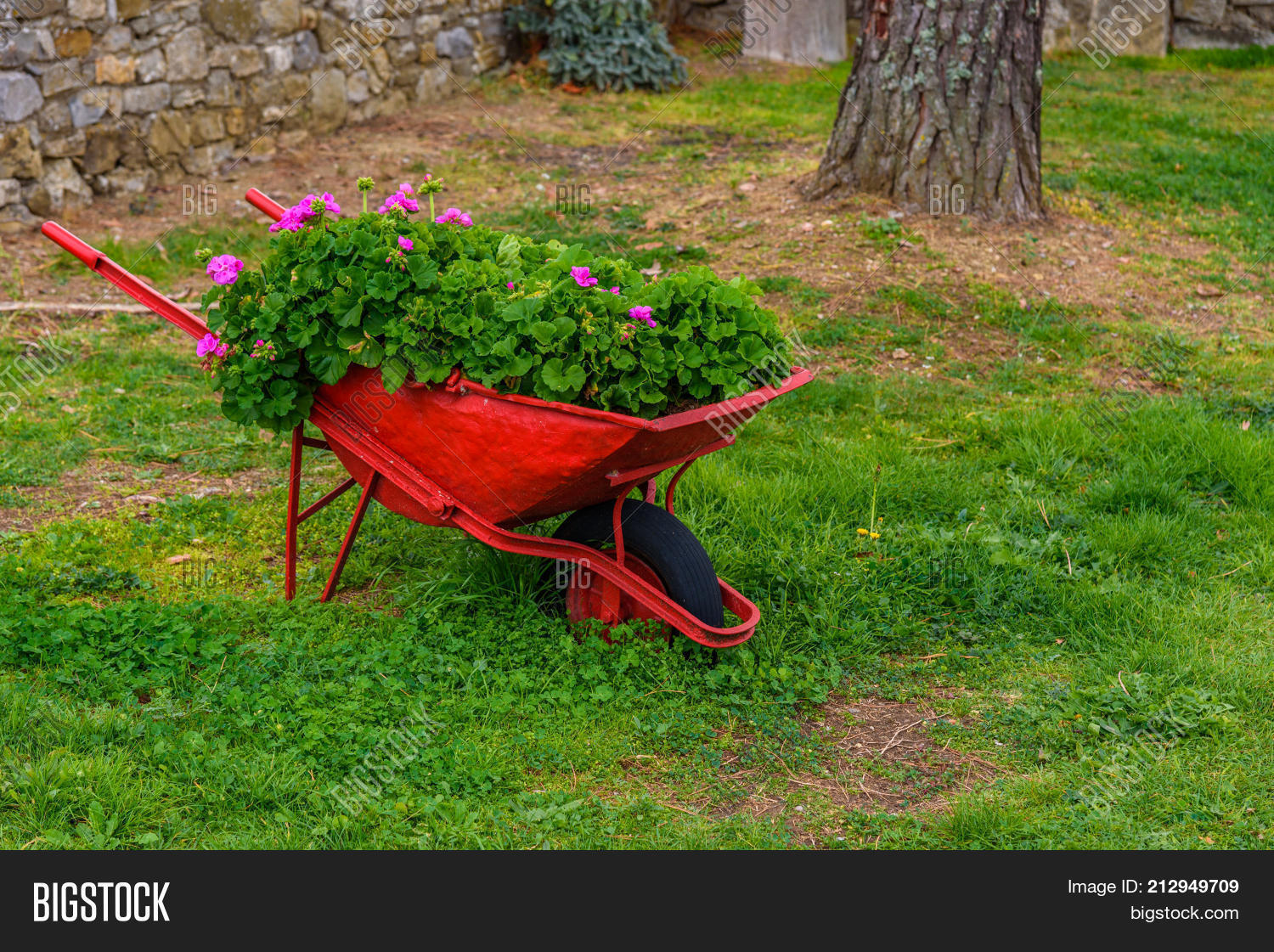Image Preview
