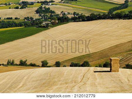 Rural landscape along the road from Filottrano to Appignano (Ancona Marches Italy) at summer.