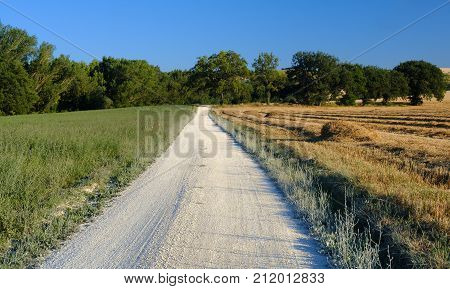 Rural landscape along the road from Filottrano to Appignano (Ancona Marches Italy) at summer.