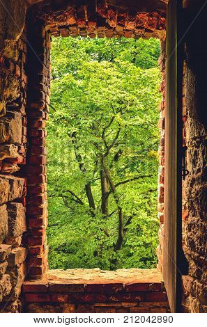 Window overlooking the green trees in the ruins of the castle. Old Lipowiec castle in Babice Poland.