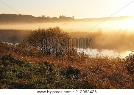 Fantastic foggy morning in the sunrise sunlight. Unusual and picturesque scene. Beauty world. Misty nature landscape on early autumn morning. Russia.