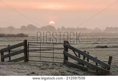 Winter morning at sunrise above the white meadows with gate near the little village of Giethoorn in Overijssel Netherlands.