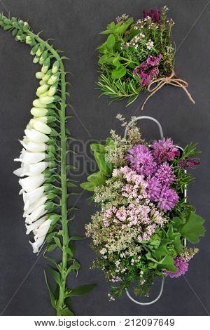 Medicinal herbs and flowers used in herbal medicine and alternative homeopathic remedies on slate  background. Top View.