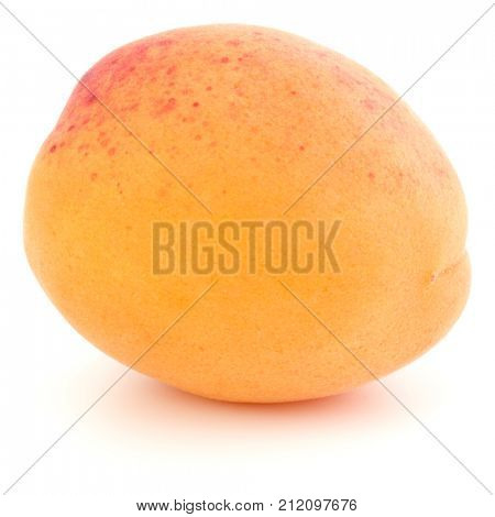 One apricot isolated on white background cutout