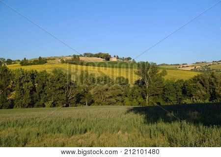 Rural landscape along the road from Filottrano to Appignano (Ancona Marches Italy) at summer.