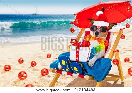 Dog In Hammock  As Santa Claus On Christmas At The Beach