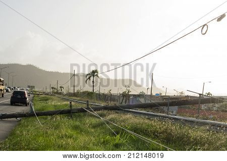 Damage to trees powerlines and building in Puerto Rico from Hurricane Maria Sep 2017