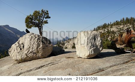 Yosemite miuntains. Granite rocks. Siera nevada, California.