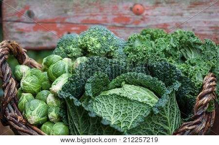 Various Green Cabbages In Basked Outdoor On Daylight
