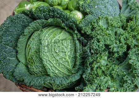 Various Green Cabbages In Basked Outdoor On Daylight
