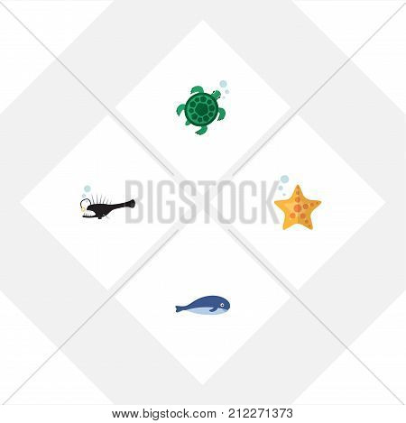 Flat Icon Marine Set Of Cachalot, Tortoise, Sea Star And Other Vector Objects