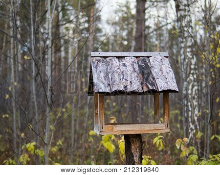 A birdhouse in the forest. A picture of a birdhouse on a tree.