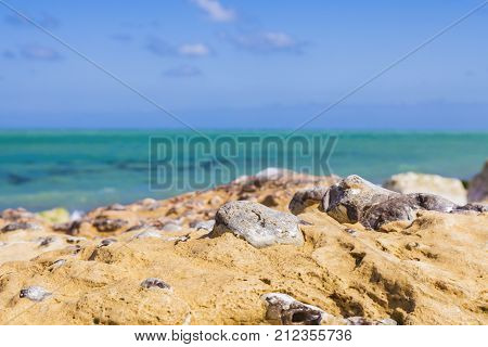 Details of specific rocks on a beach in Normandy in North of France.