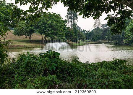 Macritchie reservoir park Singapore. River with a small fountain. View of the fountain in the middle of the water from the shore