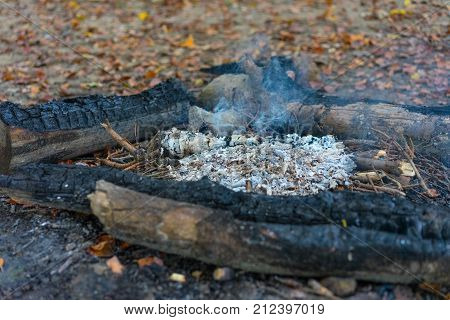 hiking fire place bbq in forest with small fire and ash boy scout natural