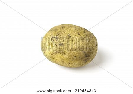 one dirty potato on white background closeup