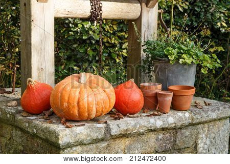 Pumpkins on the coping of a well after harvest during autumn