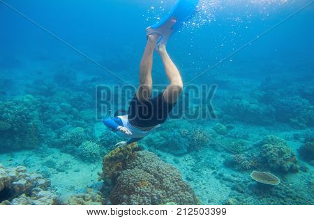 Snorkeling man dives to coral reef. Male snorkel in tropical lagoon underwater photo. Freediving in coral reef. Active summer holiday. Water sport in sea. Exploring tropical coral reef. Swimming man