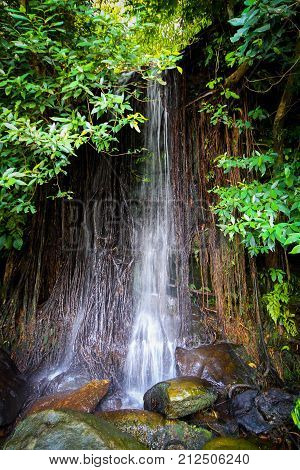 Sai-yoi waterfall in Phu Pha Yon National park, Sakon Nakon, Thailand