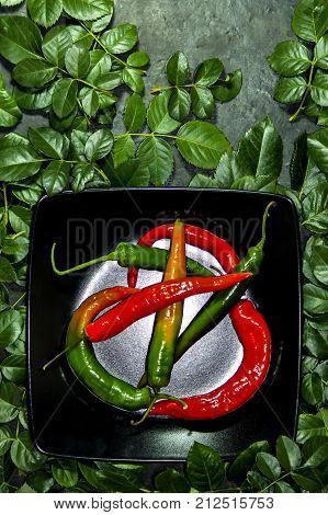 Chili pepper on a black square plate surrounded by green leaves on a black textural background. As a symbol of a nonstandard approach to something