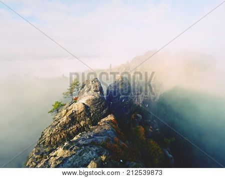 The Thick Fog Is Swinging Between Rocks And Strip Over High Trees In Spruce Forest. Fairy Daybreak I