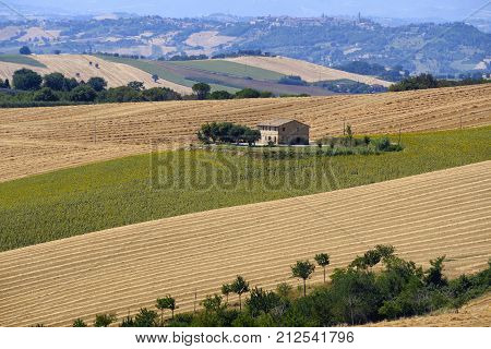 Rural landscape along the road from Appignano to Montecassiano (Ancona Marches Italy) at summer.