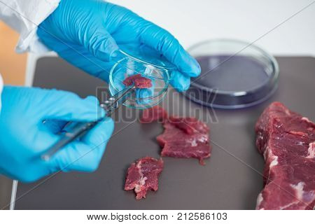 Food Safety, Toned Image, One Woman Only